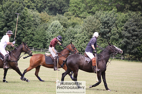 Toulston Polo 054