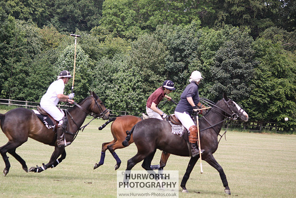 Toulston Polo 055