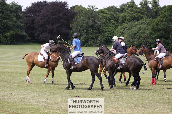 Toulston Polo 058