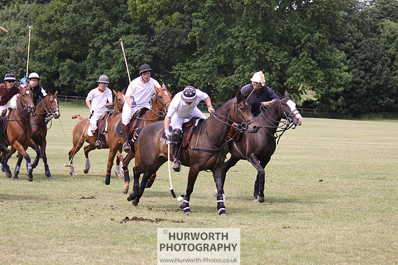 Toulston Polo 060
