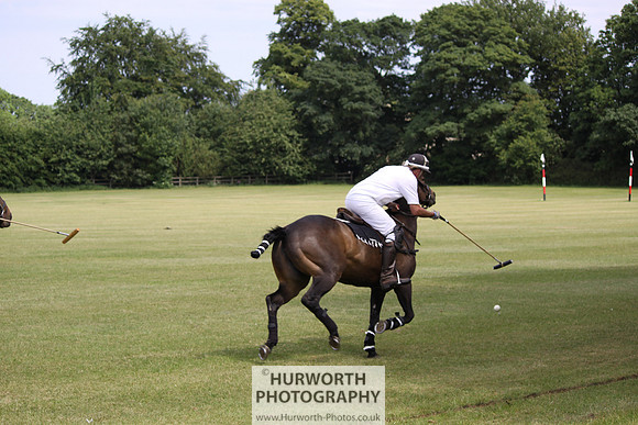 Toulston Polo 061