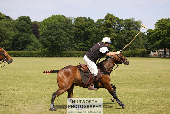 Toulston Polo 063