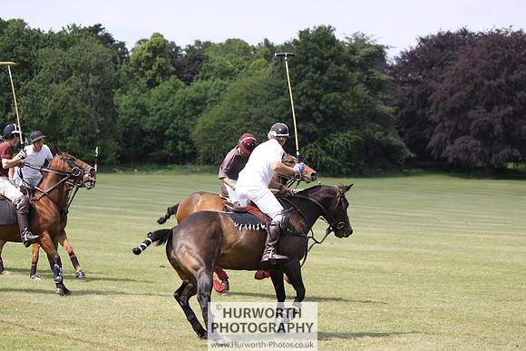 Toulston Polo 068