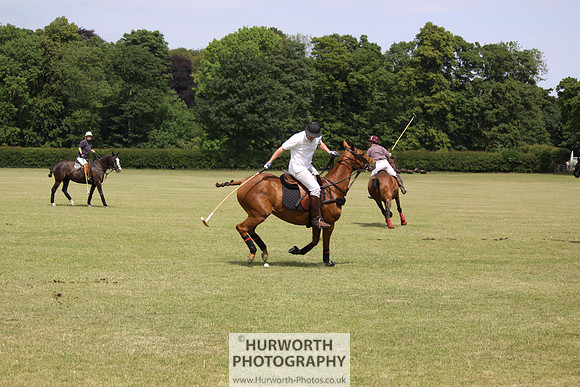 Toulston Polo 070
