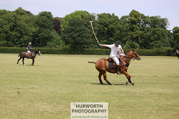 Toulston Polo 071