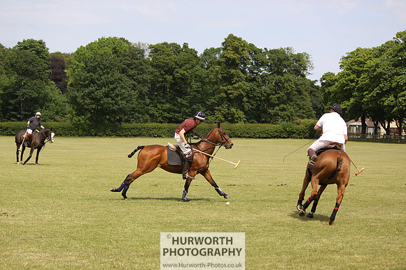 Toulston Polo 072