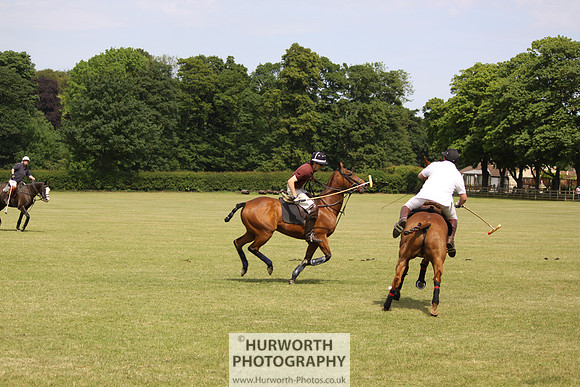 Toulston Polo 073