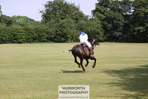 Toulston Polo 074