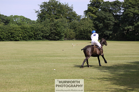 Toulston Polo 075