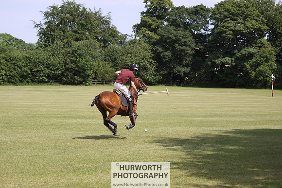 Toulston Polo 076