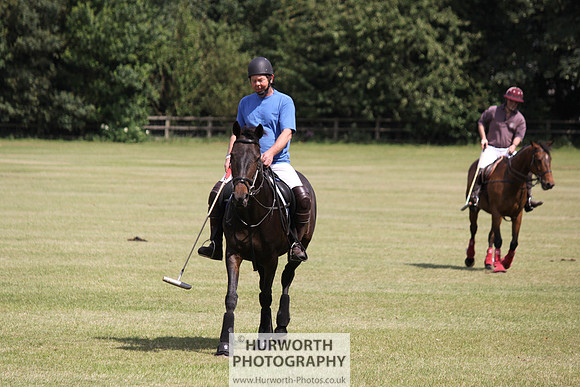 Toulston Polo 078