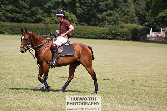 Toulston Polo 085