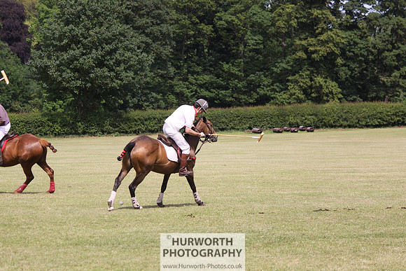 Toulston Polo 098