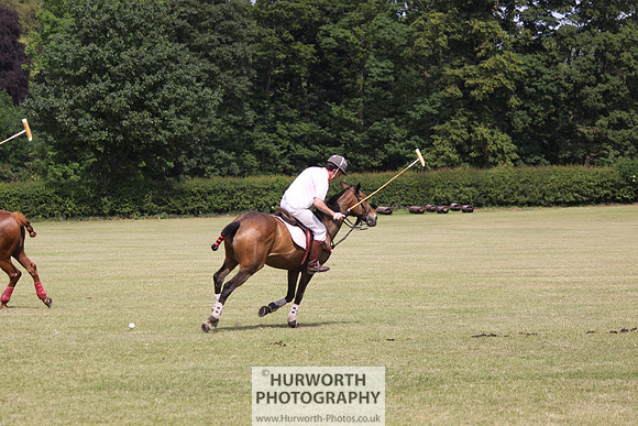 Toulston Polo 099
