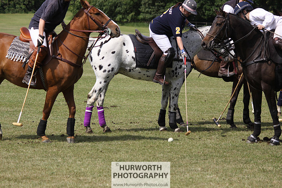 Toulston Polo 101
