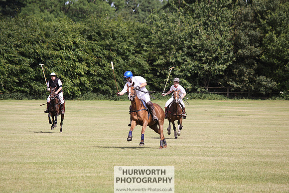 Toulston Polo 107