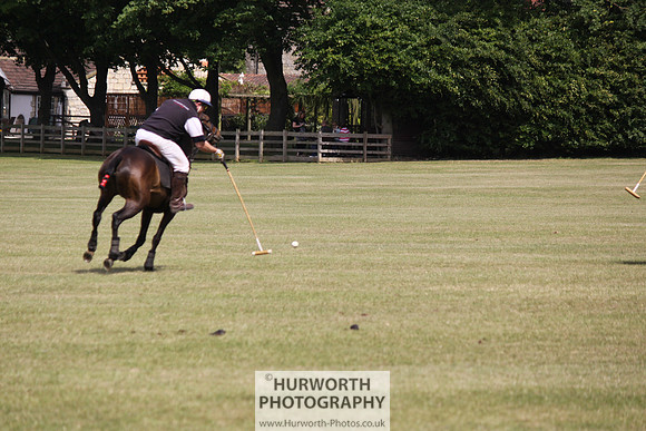Toulston Polo 110