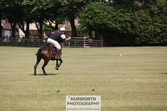 Toulston Polo 111