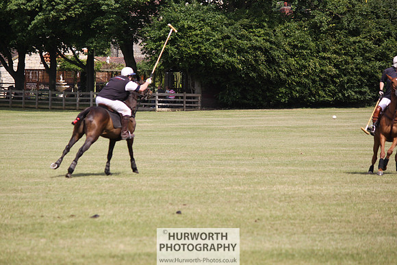 Toulston Polo 112