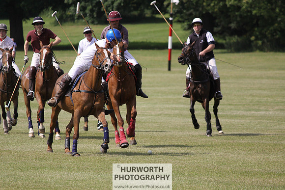 Toulston Polo 113