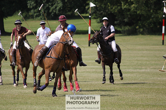 Toulston Polo 114
