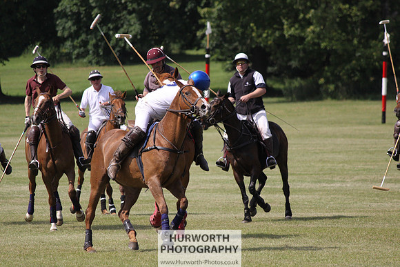 Toulston Polo 115