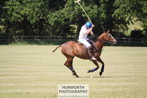 Toulston Polo 116