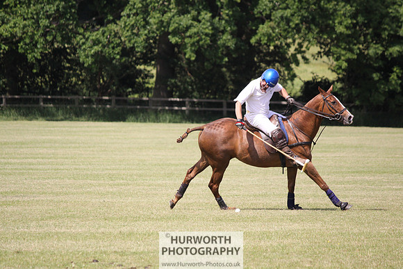 Toulston Polo 117