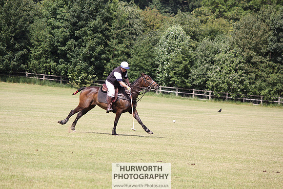 Toulston Polo 118