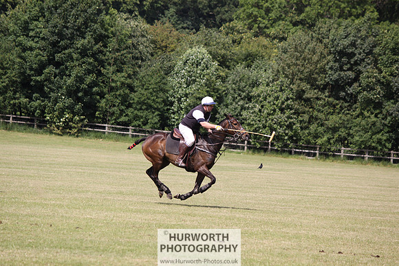 Toulston Polo 119