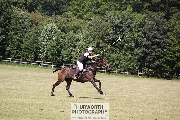 Toulston Polo 120