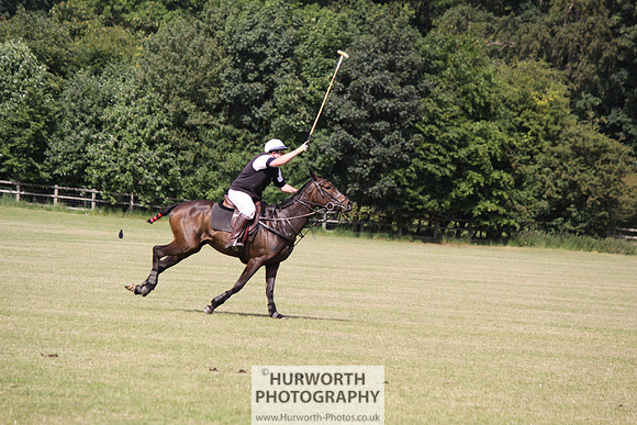 Toulston Polo 121