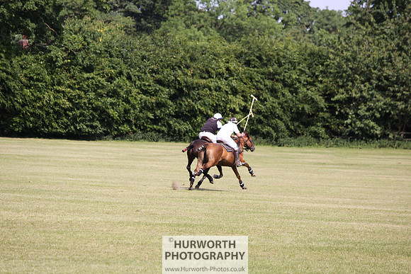 Toulston Polo 122