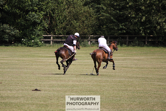 Toulston Polo 124