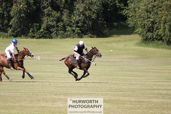 Toulston Polo 127
