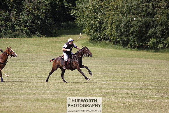 Toulston Polo 128