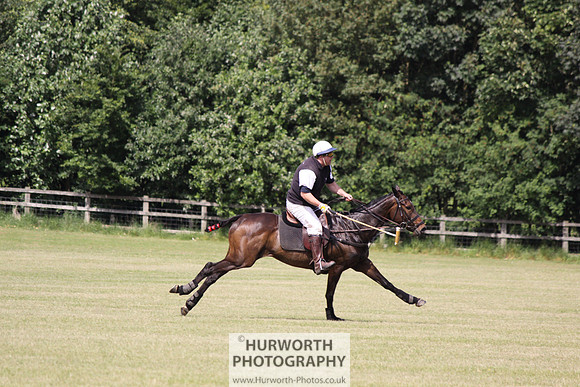 Toulston Polo 129
