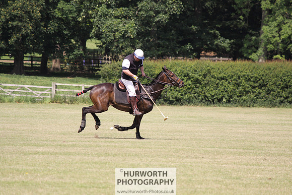 Toulston Polo 131