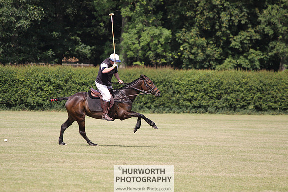 Toulston Polo 132