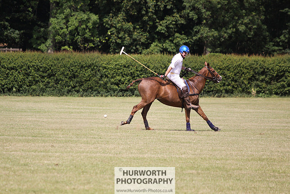 Toulston Polo 133