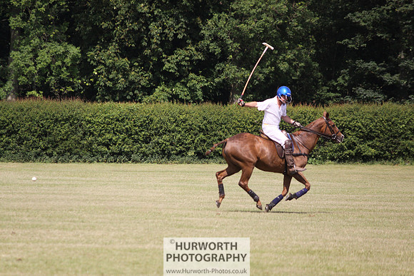 Toulston Polo 134