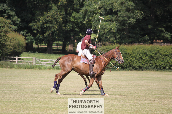 Toulston Polo 135