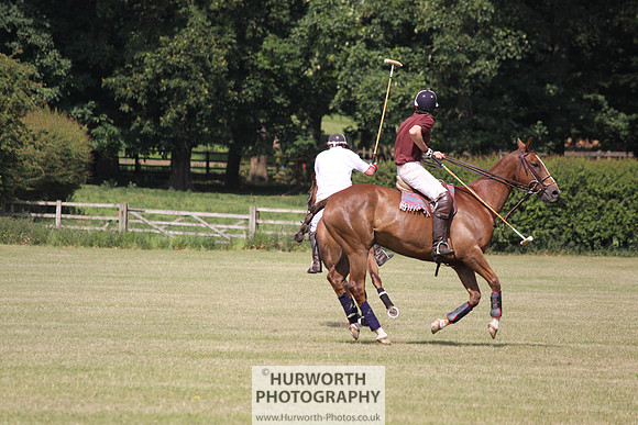 Toulston Polo 136