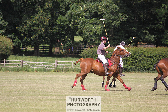 Toulston Polo 137