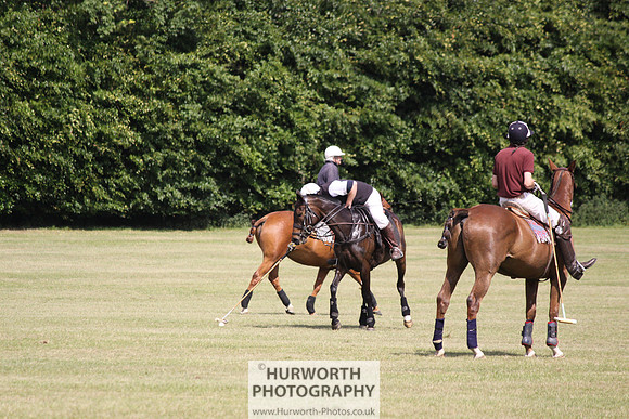 Toulston Polo 138