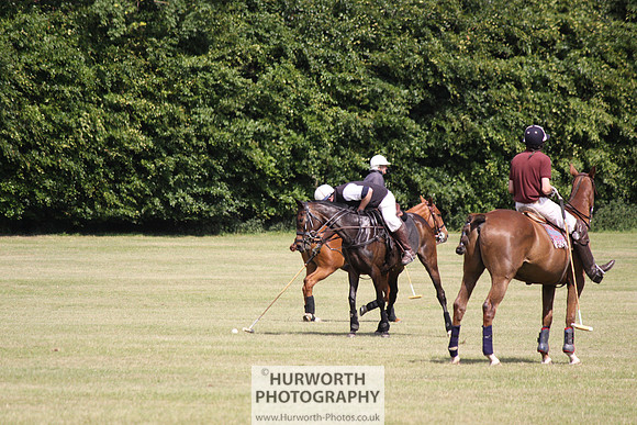 Toulston Polo 139