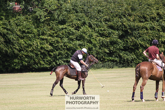 Toulston Polo 141
