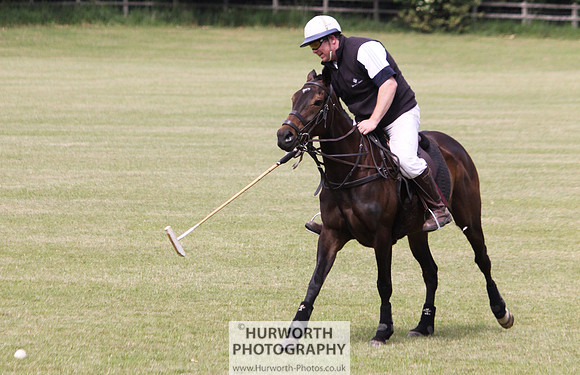 Toulston Polo 001