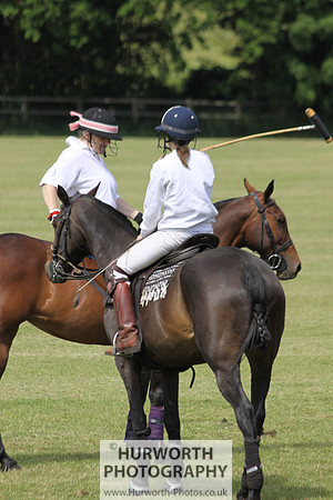 Toulston Polo 004