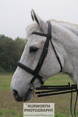 Hurworth Hunt  012